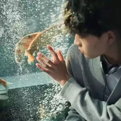 焦成娥