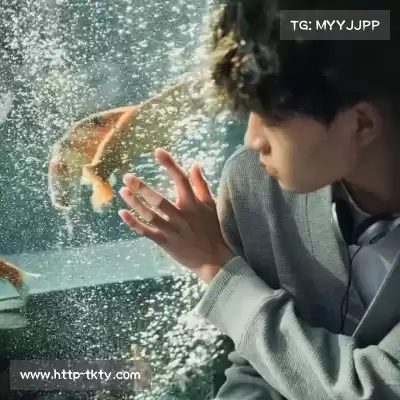 焦煊渊